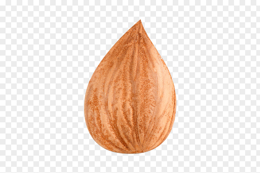 Walnut Physical Map Apricot Kernel Dried Fruit PNG