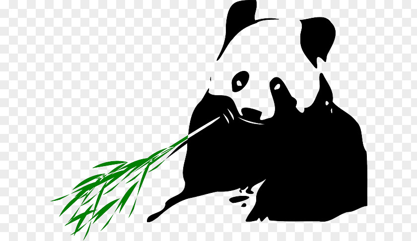 Bear Giant Panda Tropical Woody Bamboos Clip Art PNG