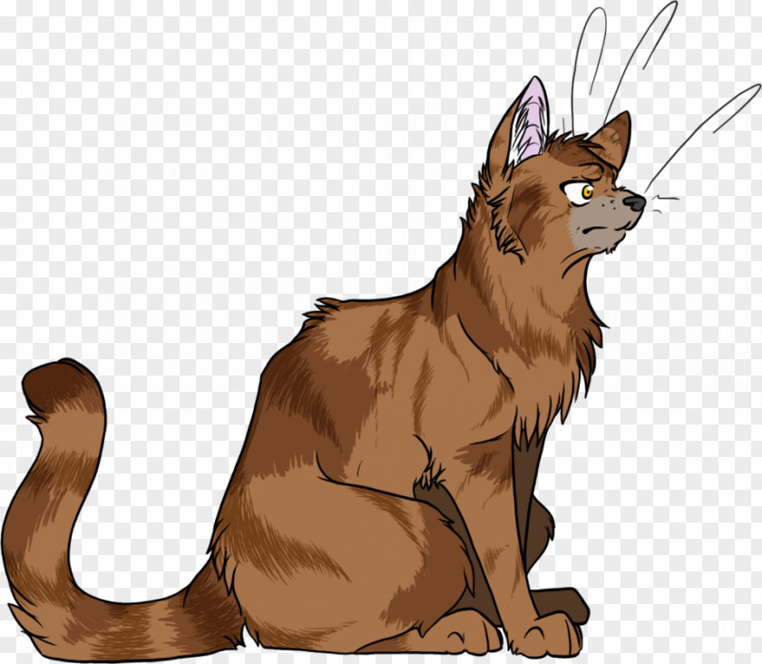 Cat Whiskers Onestar Warriors Dog PNG
