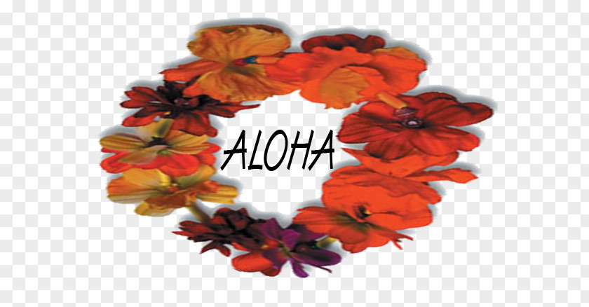 Hello Hawaiian Maui Language Aloha PNG
