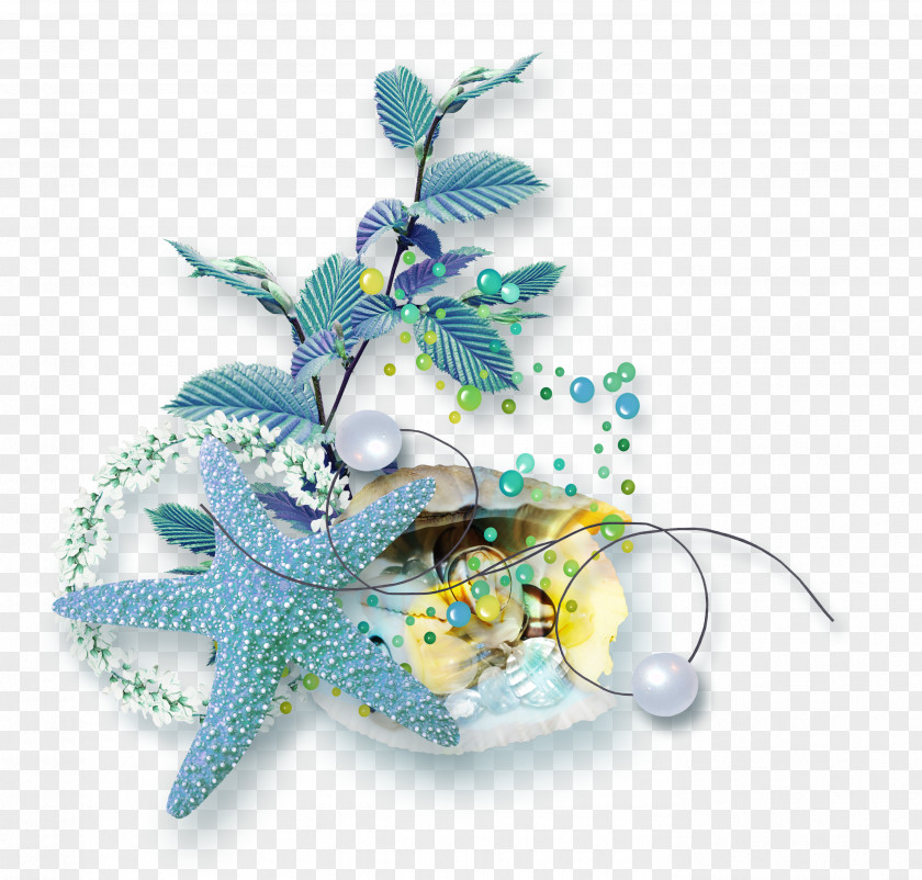 Peacock Sea Starfish Jellyfish Clip Art PNG