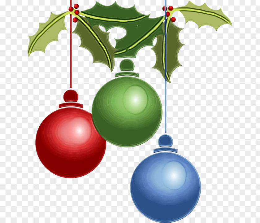 Plant Holly Christmas Ornament PNG