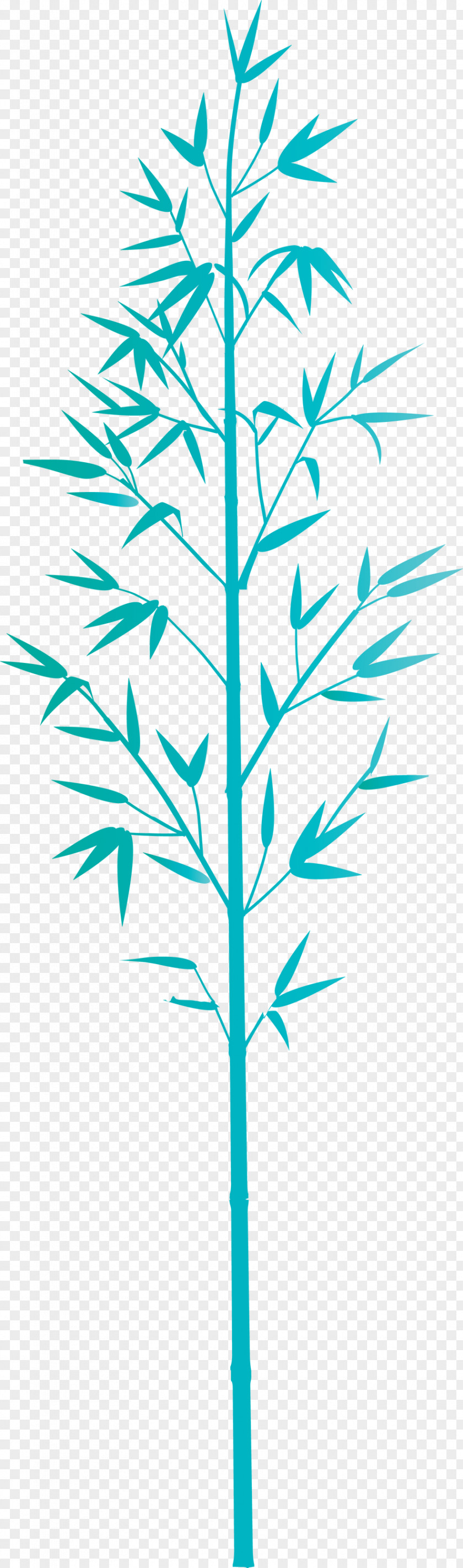 Bamboo Leaf PNG