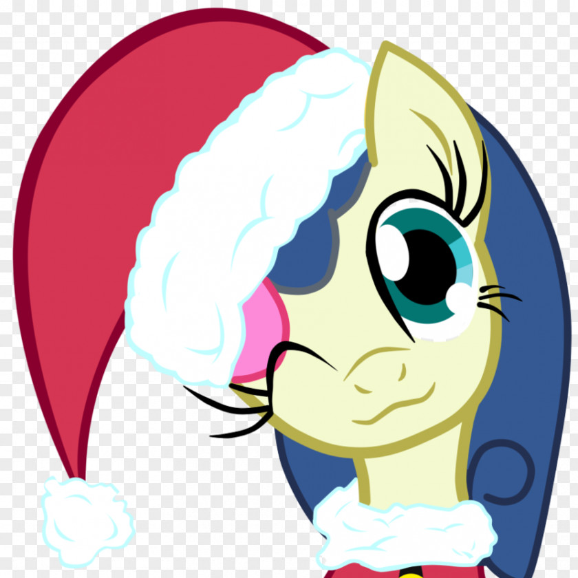 Bon Pony Derpy Hooves Santa Claus Rarity Christmas PNG