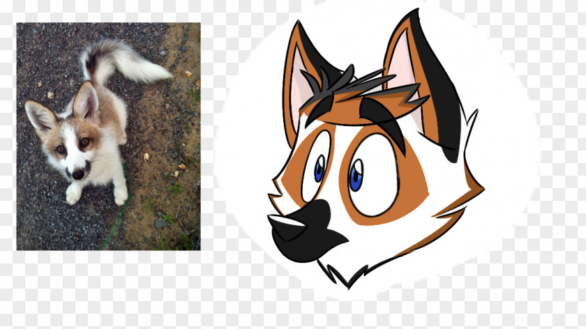 Dog Whiskers Red Fox Cat PNG