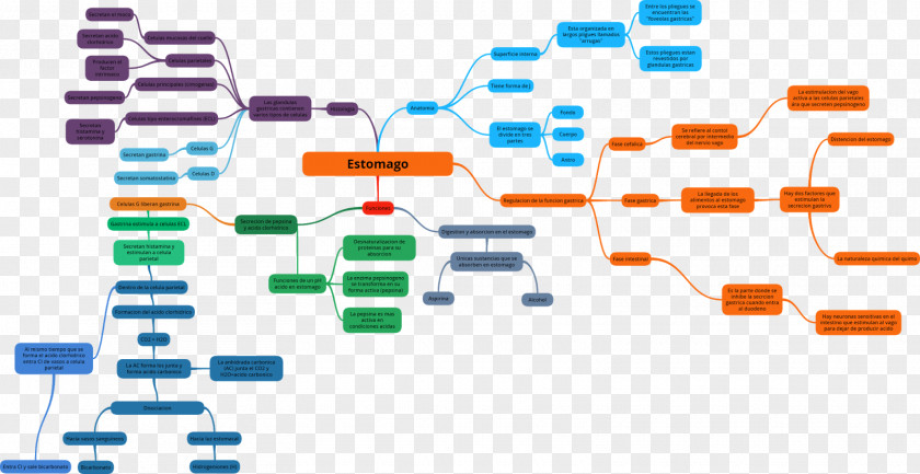 Human Physiology Stimulation Small Intestine Fol·licle Preovulatori PNG