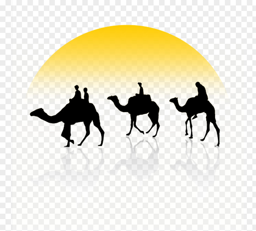 Sunset Camel Silhouette Bactrian Dromedary Train Clip Art PNG