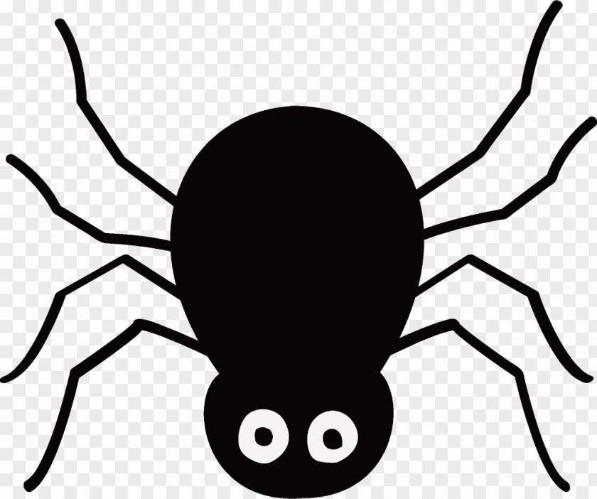 Widow Spider Arachnid Halloween PNG