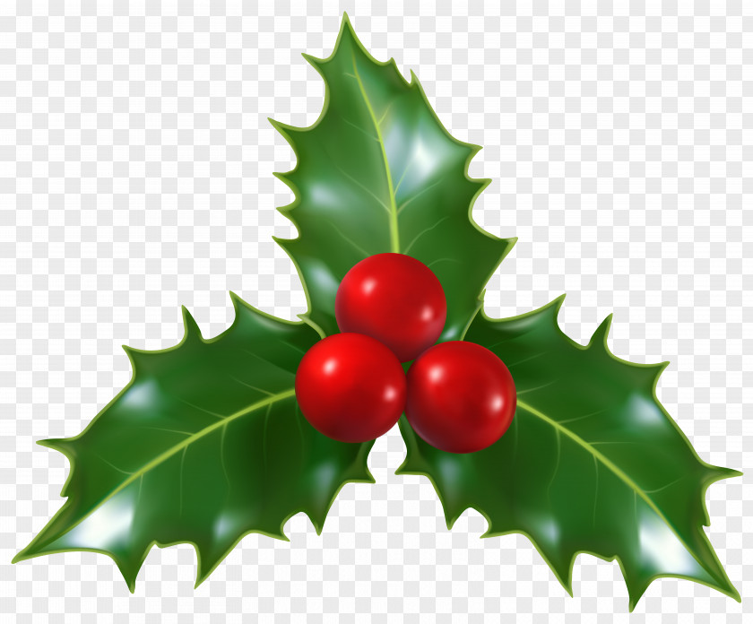 Christmas Holly Mistletoe Clip-Art Image Common Clip Art PNG