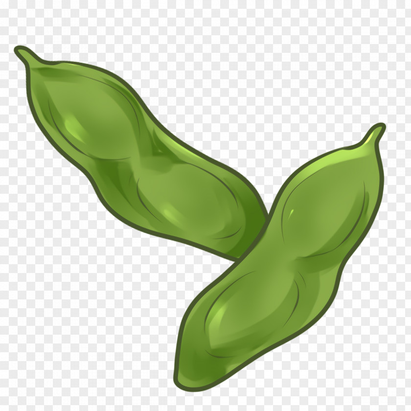 Fresh Vegetable PNG