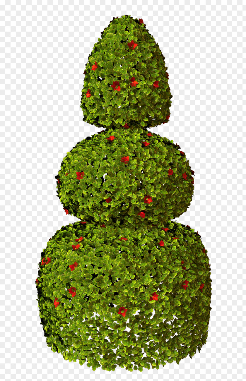 Image Tree Design Green PNG