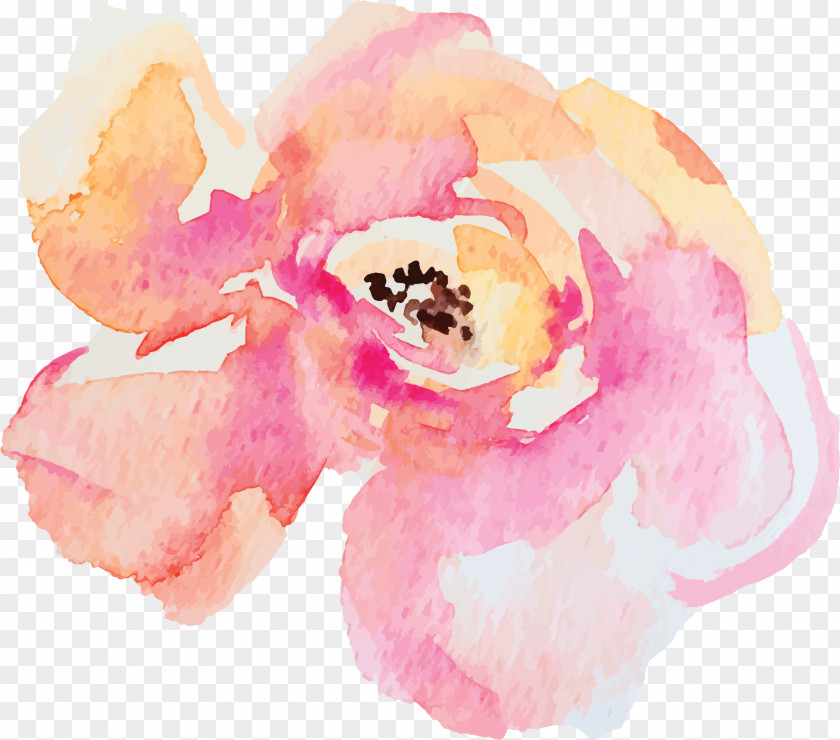Painting Watercolor Watercolor: Flowers Illustration Stock Photography PNG