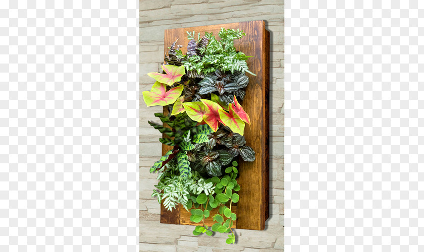 Plant Green Wall Flowerpot Garden Picture Frames PNG
