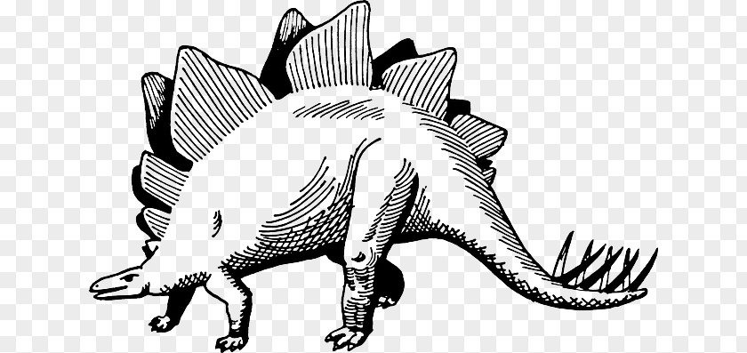 Animals Dinosaur Stegosaurus Drawing Painting PNG