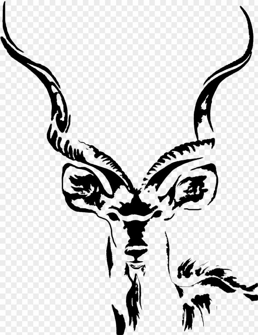 Baboon Greater Kudu Drawing African Wild Dog Antelope PNG