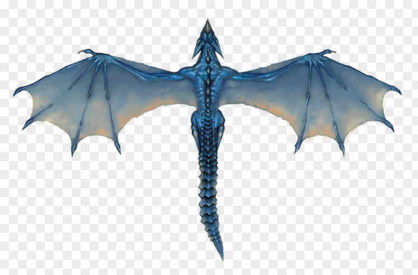 Dragon Wyvern Drawing Wiki PNG