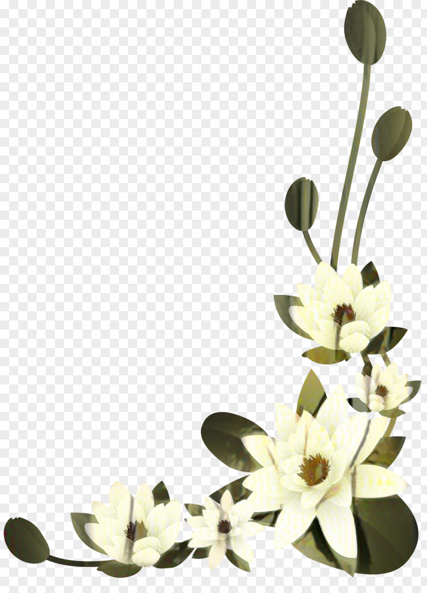 Floral Design Cut Flowers Petal PNG