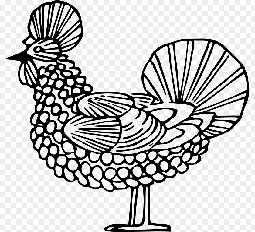 Hen Chicken Rooster Clip Art PNG