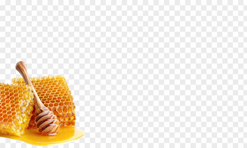 Honey Extraction Sugar Honeycomb PNG