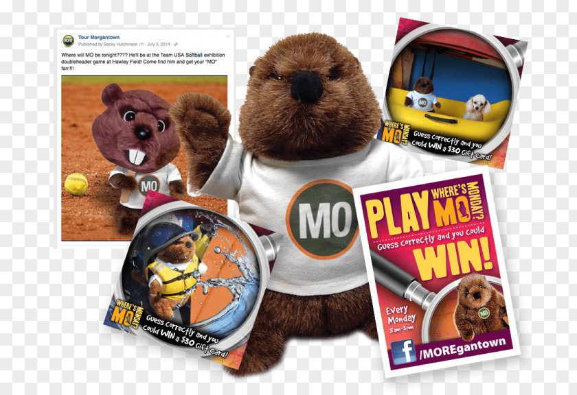 Marketing The Groundhog Advertising Campaign PNG