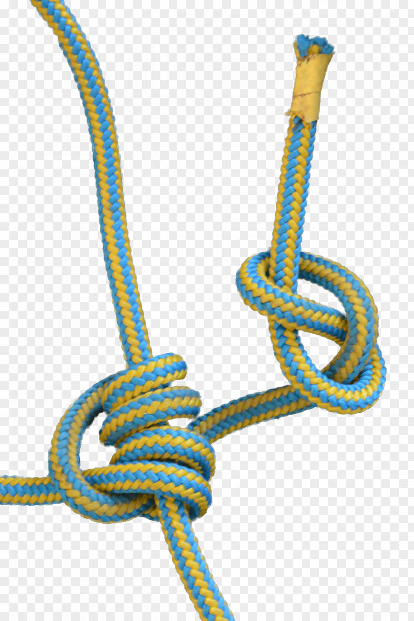 Rope Tree Climbing Knot Blake's Hitch PNG