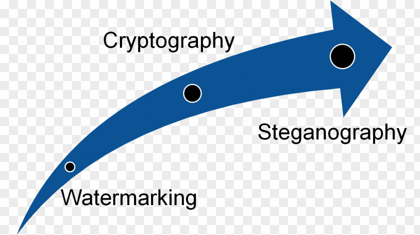 Steganography Encryption Information Computer Forensics Security PNG