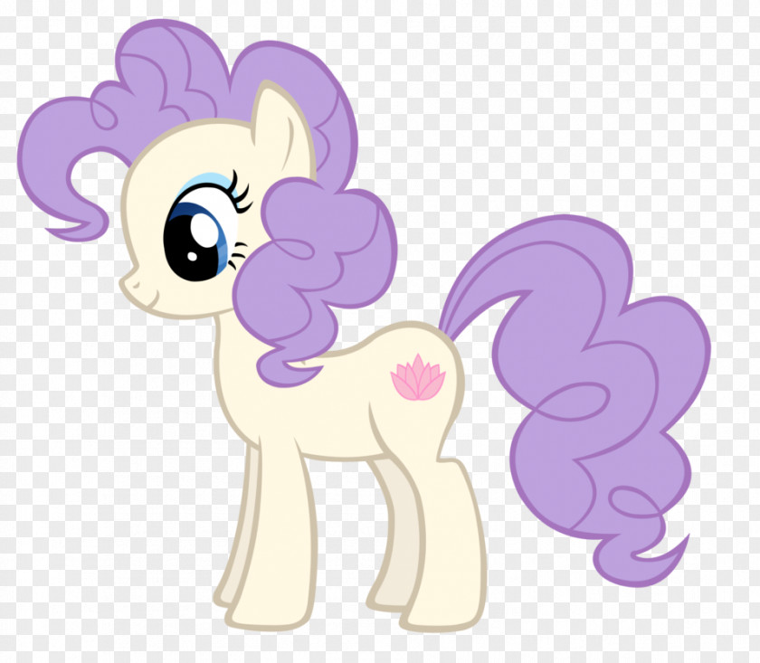 Vera Vector Pinkie Pie Twilight Sparkle Rainbow Dash Rarity Pony PNG
