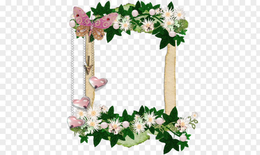 Floral Design Picture Frames Cut Flowers PNG