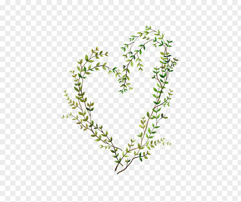 Green Leaves Watercolor Painting Heart Illustration PNG