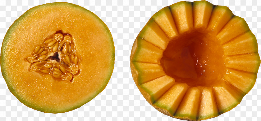 Melon Cantaloupe Charentais Galia Fruit PNG
