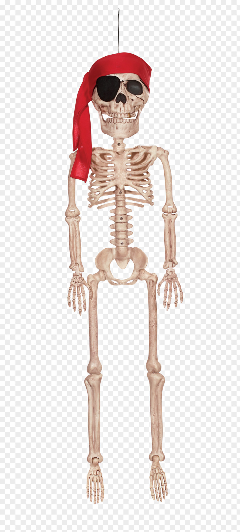 Skelleton Crazy Bonez Pirate Skeleton Jr Shoulder PNG