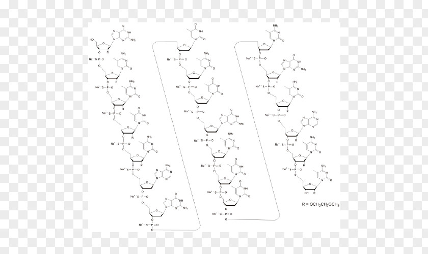 Angle White Point Line Art Non-proteinogenic Amino Acids PNG