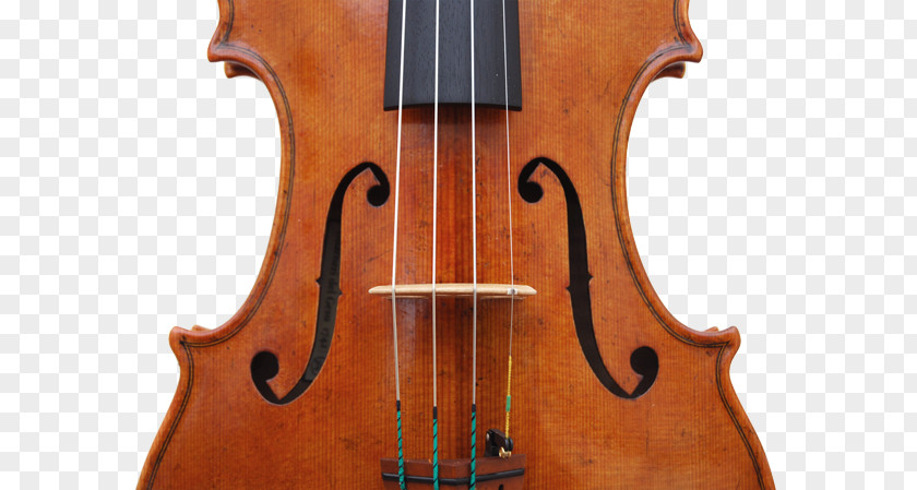 Antonio Stradivari Cremona Violin Store E Workshop Srl Sound Hole Luthier Cello PNG