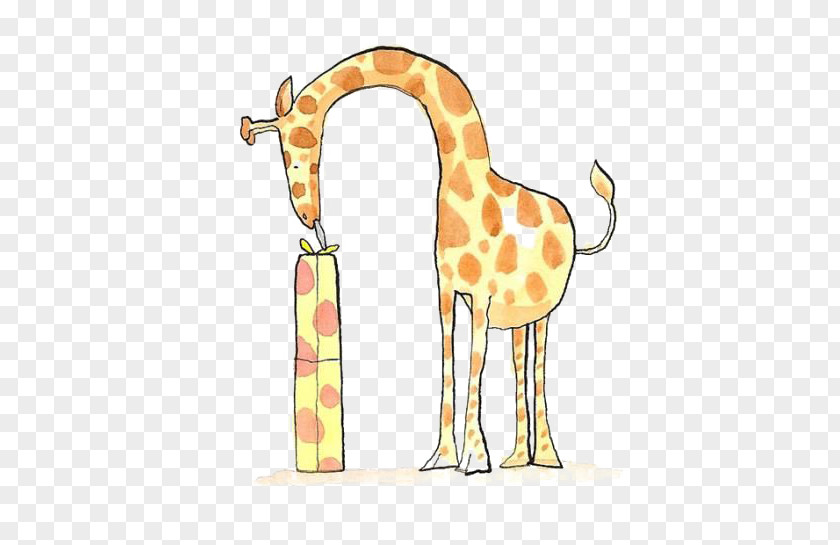 Giraffe Northern Cartoon Drawing PNG