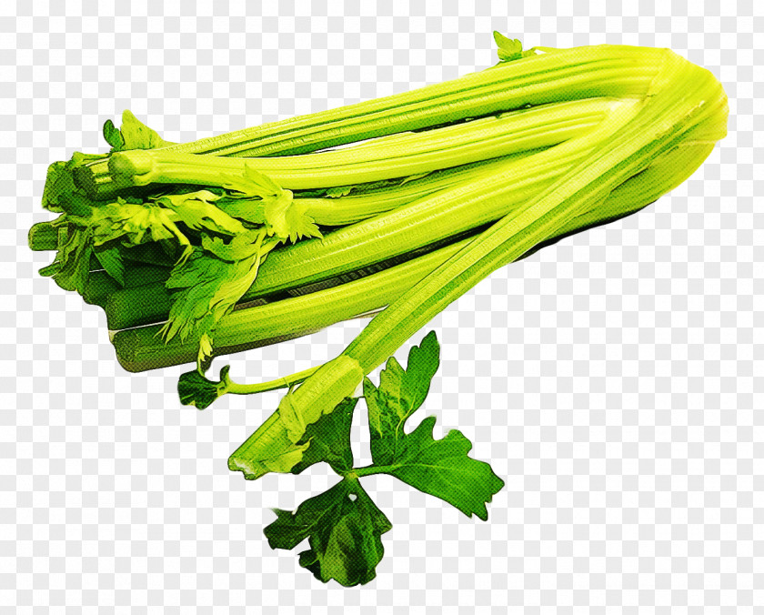Herb Ingredient Vegetable Food Celery Plant Leaf PNG