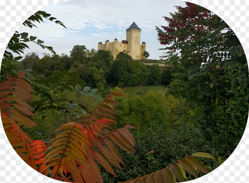 Leaf Garden PNG