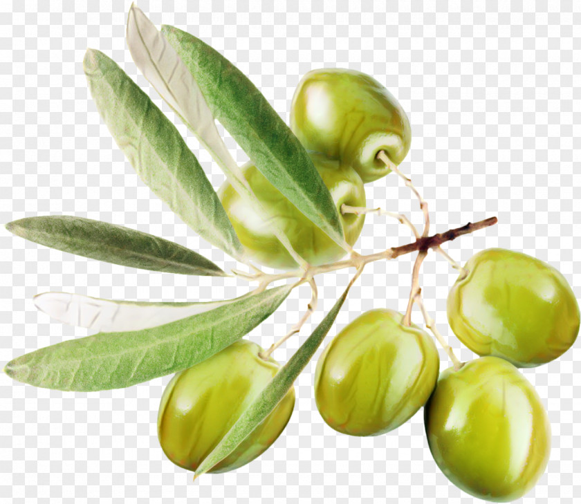 Olive Oil Clip Art Food PNG