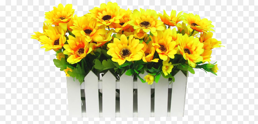 Sunflower Background Common Palisade PNG