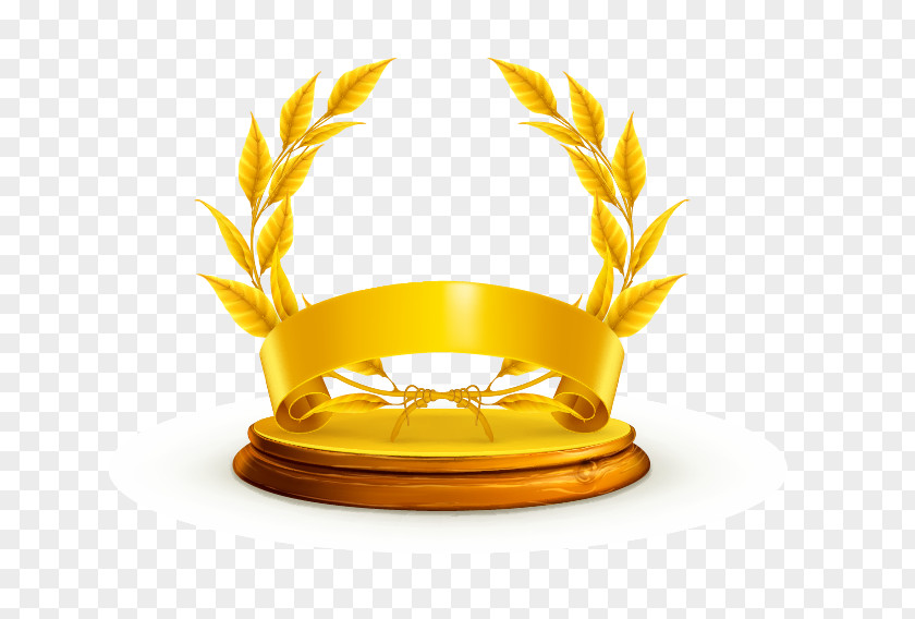 Awards Safety Award Icon PNG