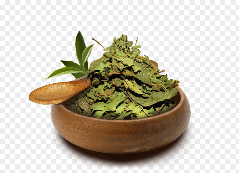 Ervas Longjing Tea Herb Flowerpot Plant PNG