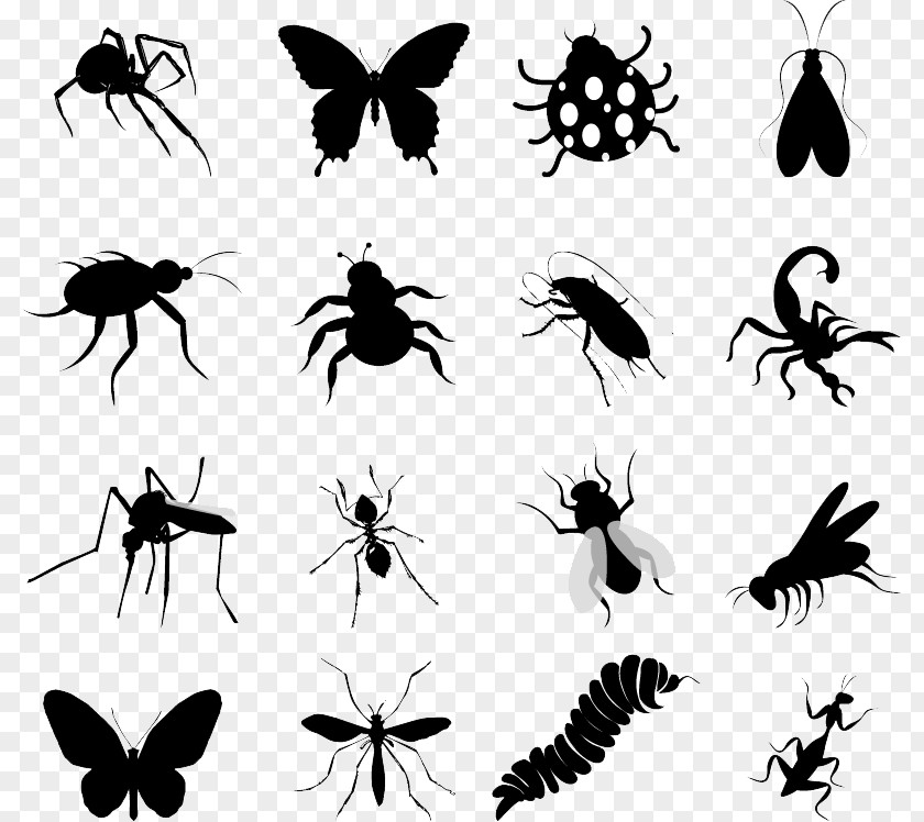 Insect Silhouettes Silhouette Butterfly Clip Art PNG