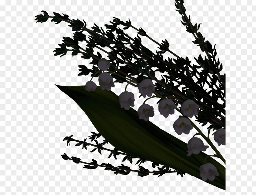 M Plant Stem Leaf FlowerChamomile Heart Twig Black & White PNG