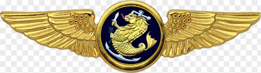 MILITARY BADGE Aircrew Badge United States Navy Naval Aircrewman PNG
