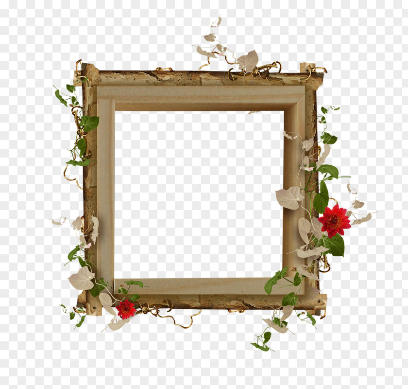 Picture Frames Photography PNG