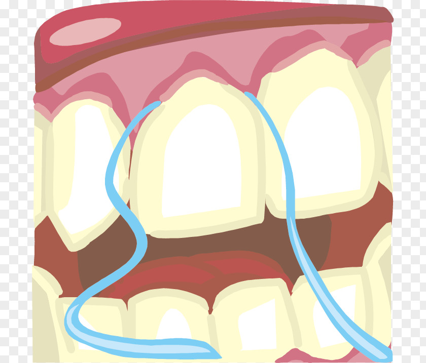 Vector Illustration Dental Health Tooth Pathology Floss Brushing Clip Art PNG