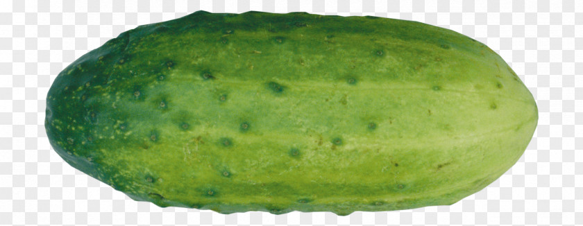 Cucumber Pickled Clip Art Image PNG