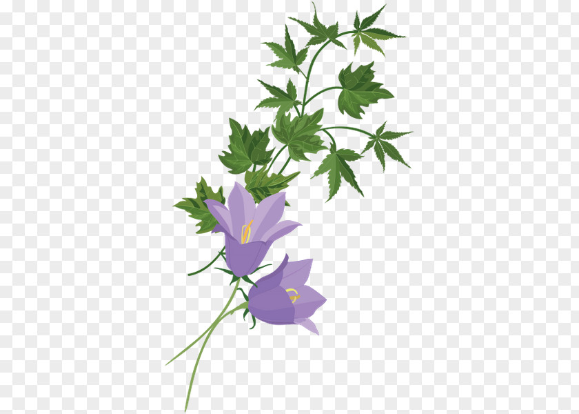 Flower Plant Stem Clip Art PNG