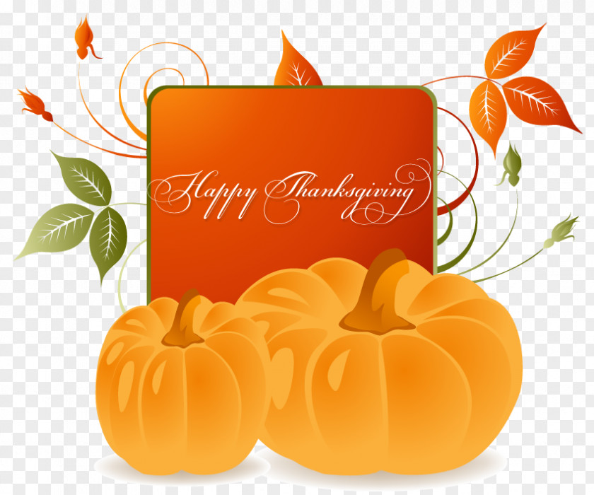 Happy Thanksgiving/ Calabaza Winter Squash Pumpkin Cucurbita Font PNG