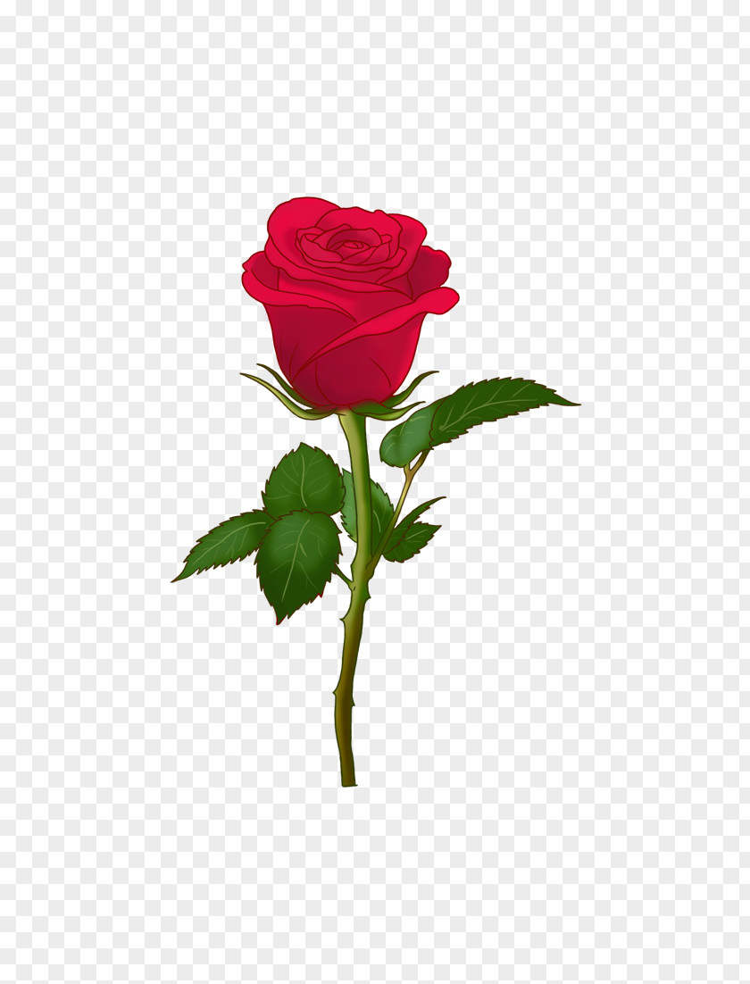 Spring Forward Centifolia Roses Art Emoji Garden Soch Na Sake-Sab Tera PNG
