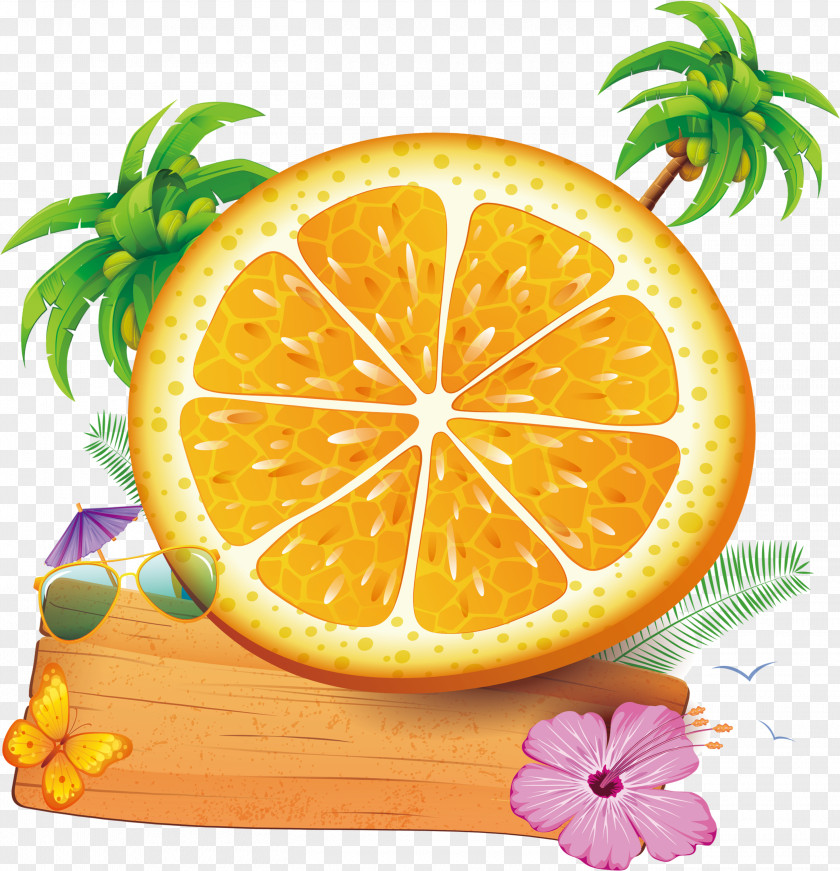 Tropical Large Orange Decoration Shading Tree PNG